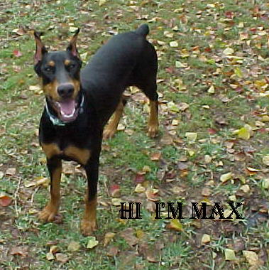 [Max]